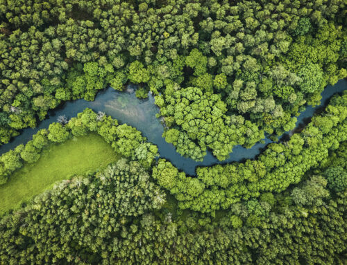 Neue Konzepte für den Klimaschutz